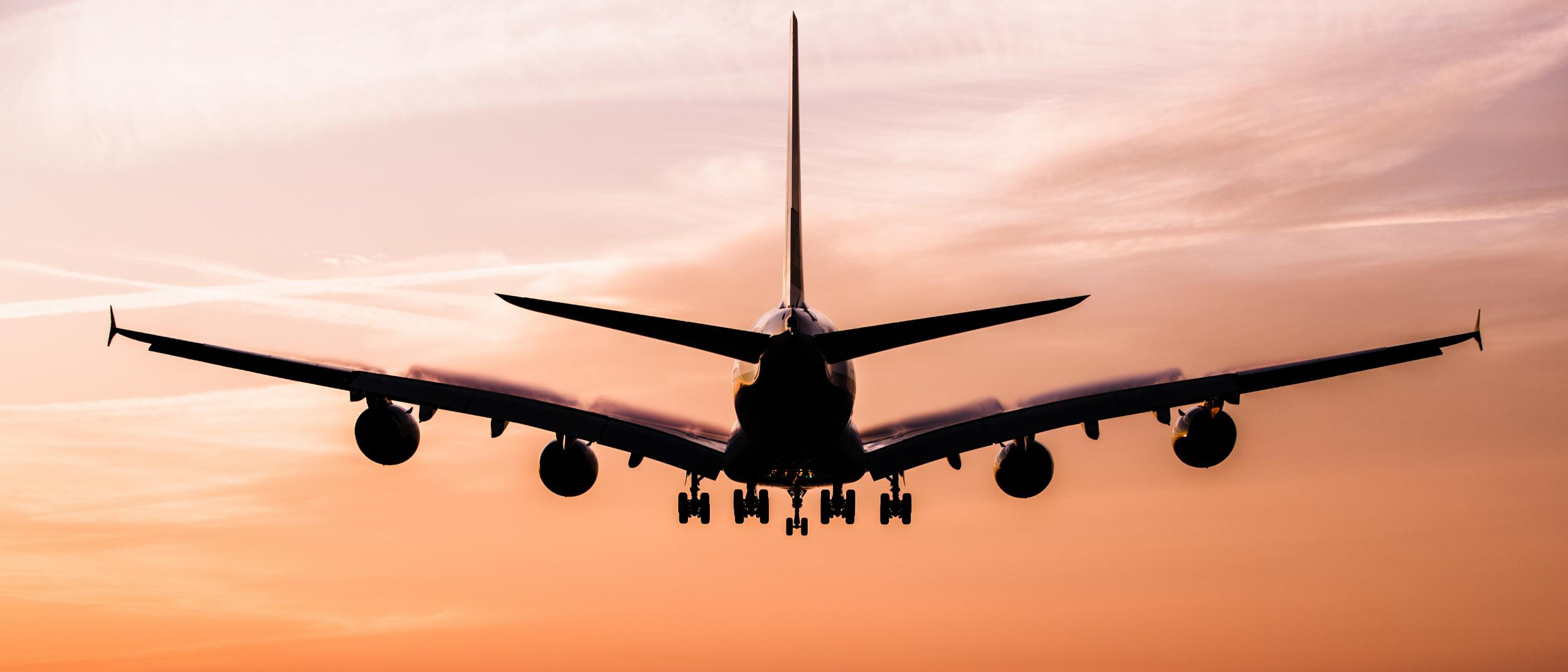 fly